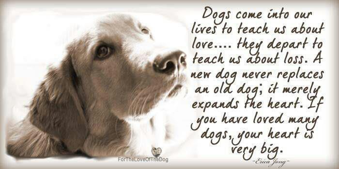 Dog Quotes Death http://ladylouiselanguagelessons.com/category/great ...
